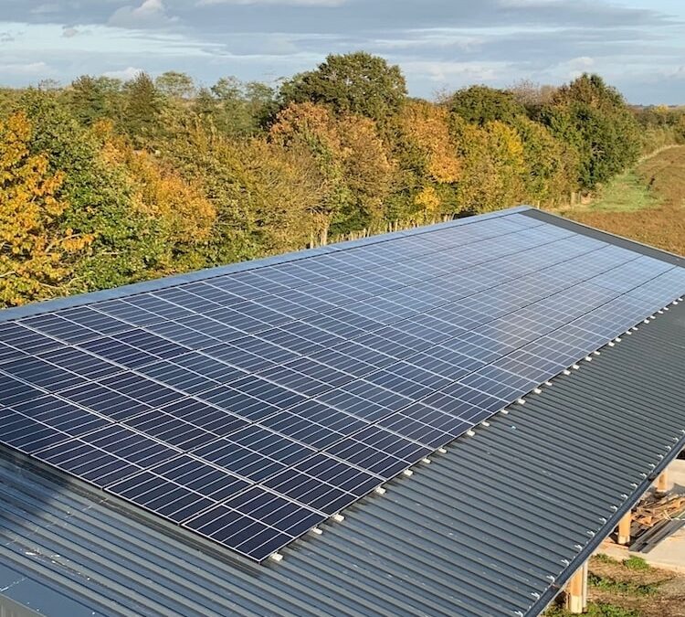 Bâtiment agricole à Domagne (35)
